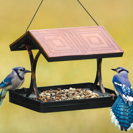 Two Blue Jays on the Modern Farmhouse Vintage Wood with Tin Roof Fly-Thru Feeder, showcasing its metal mesh floor and tin roof design.