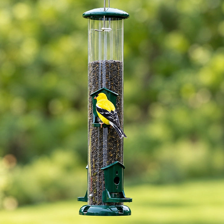 Bright yellow American goldfinch perched on a green nyjer seed tube feeder hanging in a lush backyard.