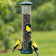 Three American goldfinches perched on a green tube bird feeder filled with sunflower seeds against a softly blurred backyard background.