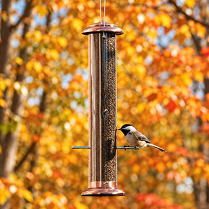 Goldfinch perched on a copper Nyjer seed tube feeder against softly blurred golden autumn foliage.