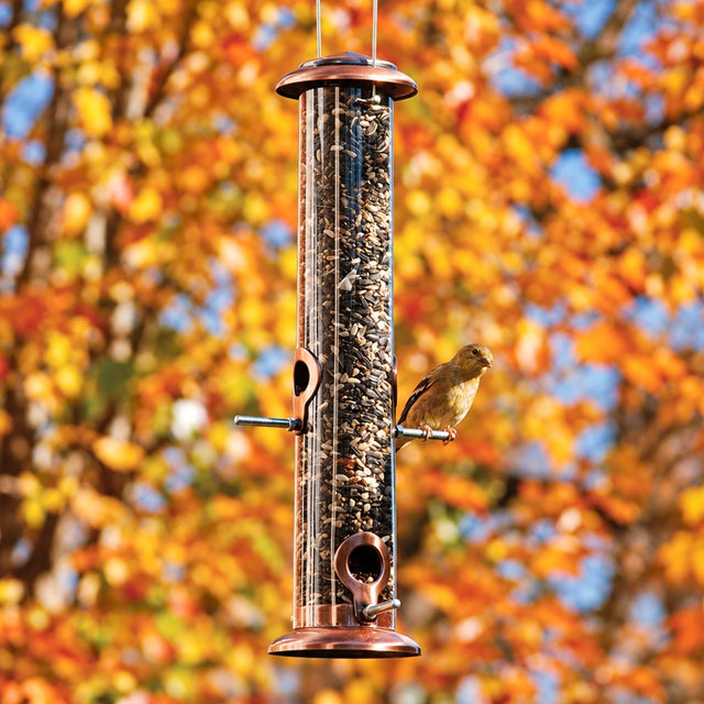 Goldfinch perched on a copper mixed seed tube bird feeder filled with seed against golden autumn foliage.