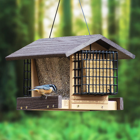 Going Green® Contemporary Deluxe Ranch Feeder with Suet Feeders, featuring dual-feed design with seed tray and suet cage, attracts diverse birds in a forested setting.