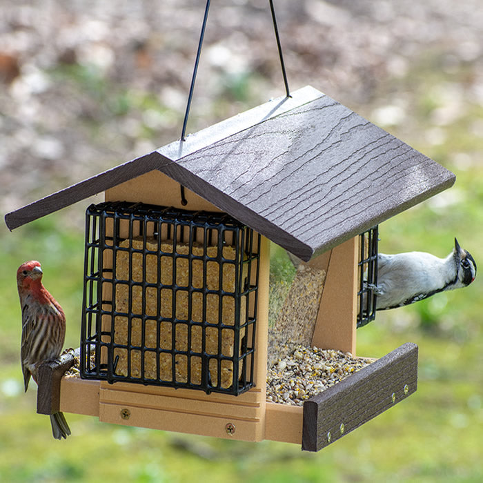 Going Green® Contemporary Deluxe Ranch Feeder with Suet Feeders, featuring a bird perched on the feeder, showcasing its two large feeding trays and metal mesh flooring.