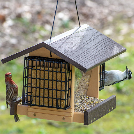 Going Green® Contemporary Deluxe Ranch Feeder with Suet Feeders, featuring a bird perched on the feeder, showcasing its two large feeding trays and metal mesh flooring.