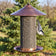 White-breasted nuthatch clinging head-down to a copper sunflower seed mesh feeder against a softly blurred evergreen backyard.