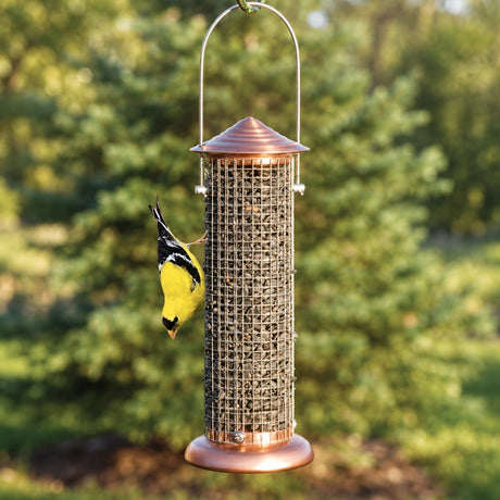 Male goldfinch clinging upside down to a mini copper sunflower mesh feeder against softly blurred green foliage.