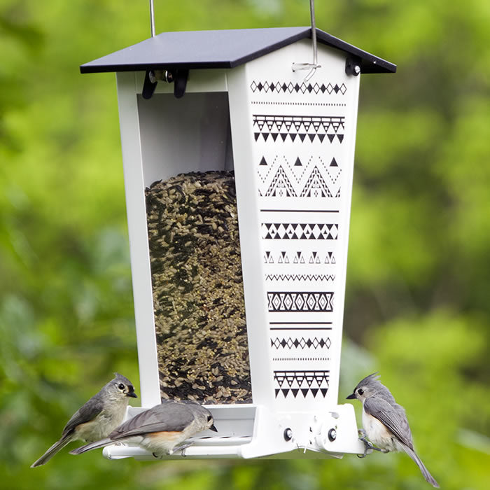 Snack Shack Nordic Habitat Squirrel-Resistant Feeder featuring birds perched on weight-activated perches, with visible feeding ports and clear plastic windows showing seed levels.