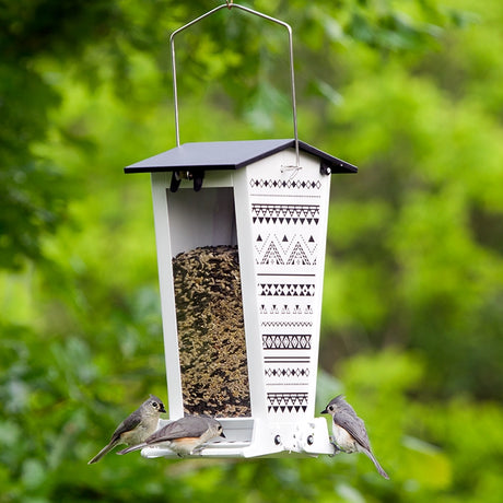 Snack Shack Nordic Habitat Squirrel-Resistant Feeder with geometric patterns, three songbirds perched, and visible seed through clear windows. White finish with black roof.