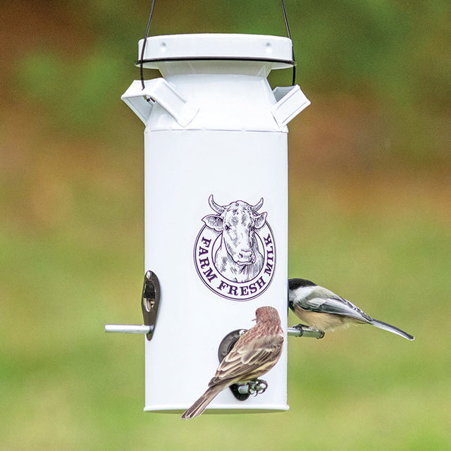 Milkhouse Milk Can Seed Feeder: A white metal bird feeder shaped like a vintage milk can with a cow logo, featuring four feeding ports and a secure lid.