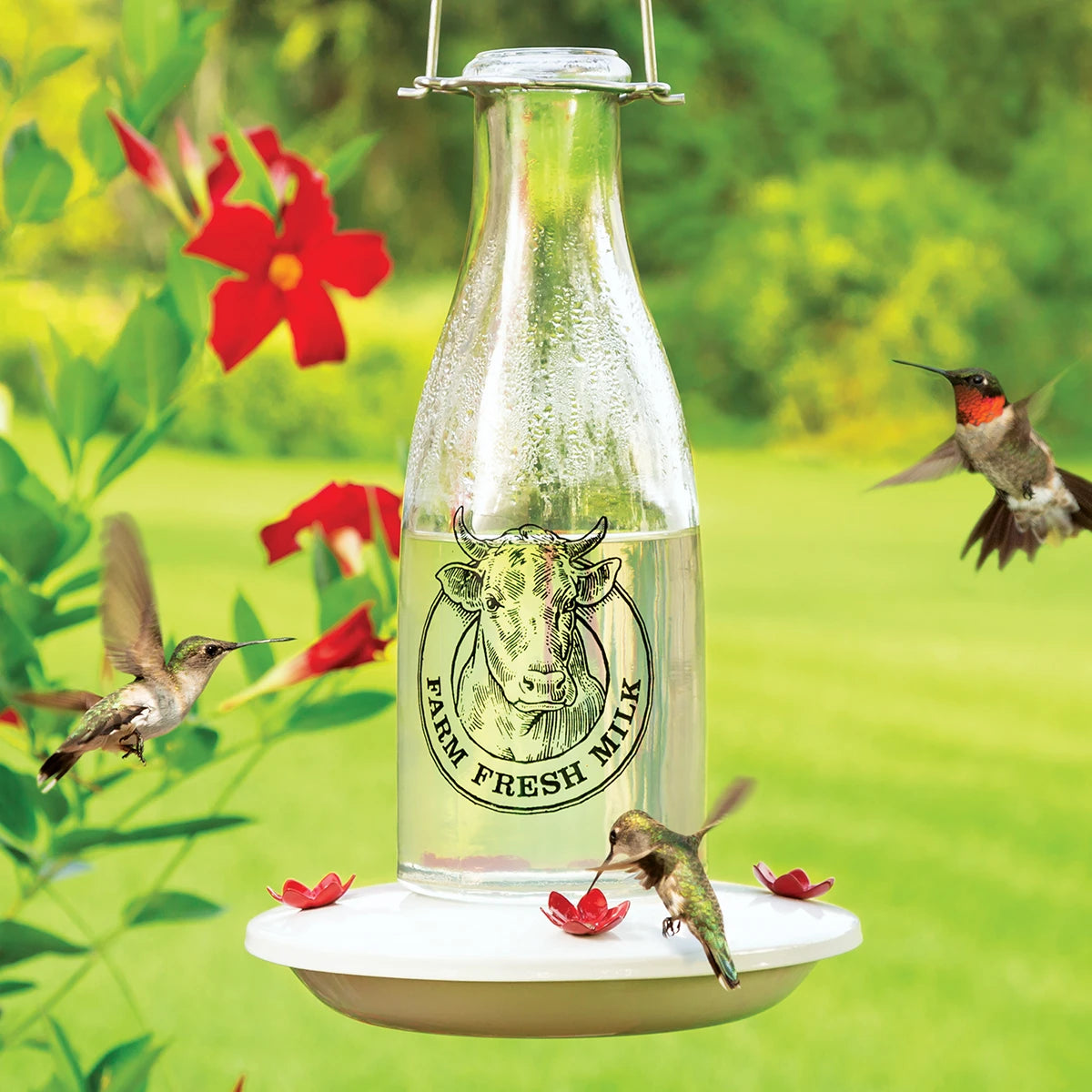 Milkhouse 24 Ounce Glass Hummingbird Feeder, featuring a vintage milk can design, with red flower feeding ports and hummingbirds feeding, against a green backdrop.