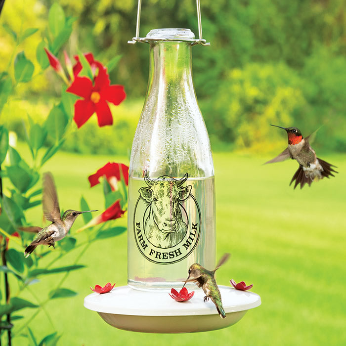 Milkhouse 24 Ounce Glass Hummingbird Feeder with vintage milk can design, four flower-shaped feeding ports, and attached hanger, attracting hummingbirds for easy feeding and bird watching.