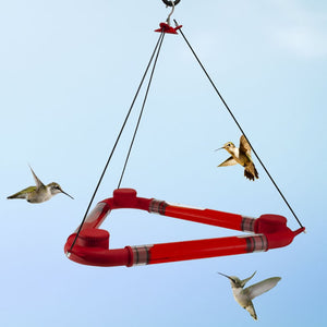 Wild Bird Lovers 6 Port Plastic Dinner Bell Hummingbird Feeder with six feeding ports, easy twist-off caps, and an 8 oz. capacity for attracting and feeding hummingbirds.