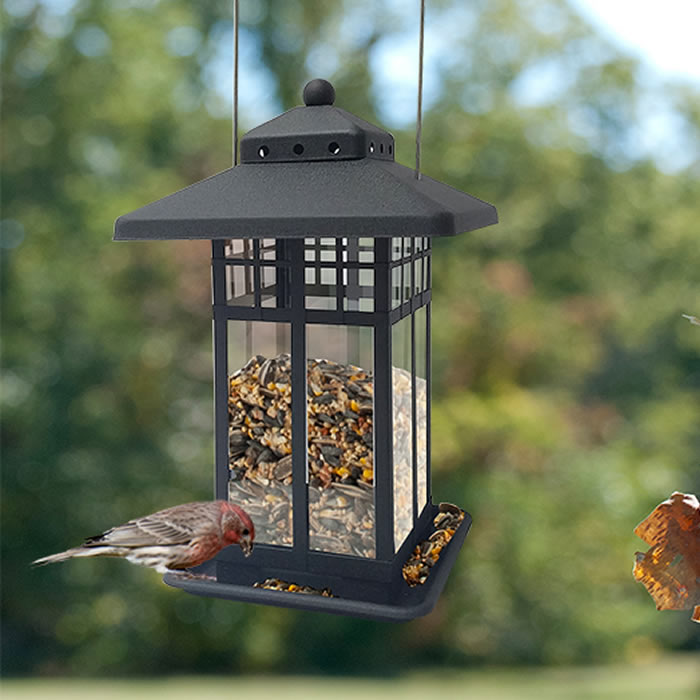 Mission Style Hopper Seed Feeder: Lantern design with bird perched, metal frame, clear sides for seed viewing, feeds from four sides.