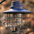 Modern Farmhouse Solar Barn Cage Light Seed Feeder with a bird perched inside, featuring a metal cage design, filled with bird seed, and equipped with a solar light.