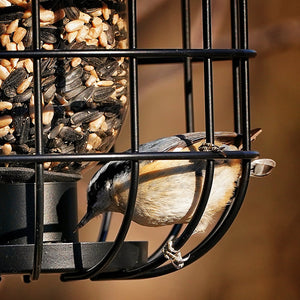 Modern Farmhouse Solar Barn Cage Light Seed Feeder with bird perching on feeder, featuring a protective cage, solar light, and capacity for 3/4 lbs. of seed.