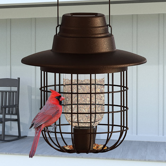 Modern Farmhouse Solar Barn Cage Light Seed Feeder with bird perched inside, featuring a metal cage design and integrated solar light for nighttime illumination.