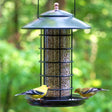 Modern Farmhouse Metal & Glass Tube Feeder with birds perched, using the wide seed tray. Stylish black matte finish and copper accent, ideal for backyard bird feeding.