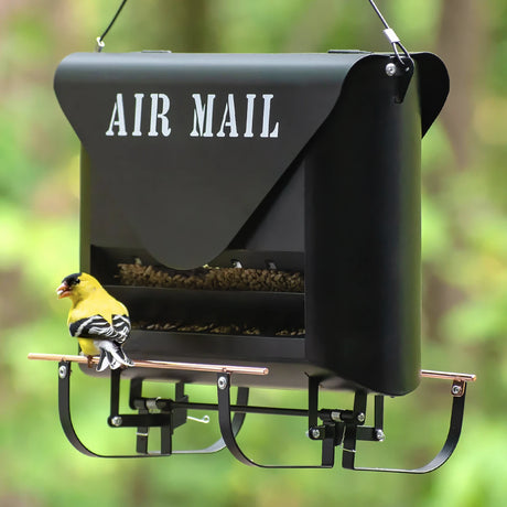 Absolute Squirrel-Resistant Air Mail Feeder shaped like a mailbox, filled with seed, featuring a perched American goldfinch on its adjustable perch.