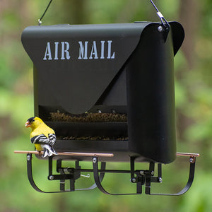 Absolute Squirrel-Resistant Air Mail Feeder: A unique, envelope-shaped bird feeder with a perch, holding 5 lbs of seed, designed to prevent squirrels from accessing the food.