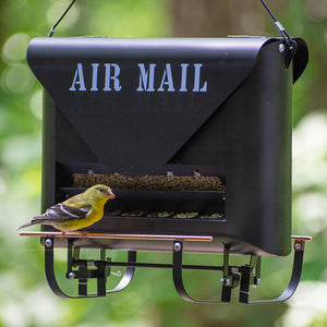 Absolute Squirrel-Resistant Air Mail Feeder with a bird perched. Novelty envelope shape, double-sided, spring-activated perch, and concealed seed storage.