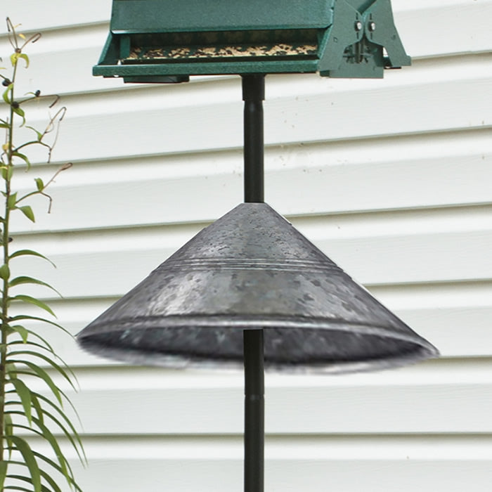 Rustic Farmhouse Galvanized Squirrel Resistant Baffle on a bird feeding pole, featuring a 17.5-inch diameter metal design to prevent squirrels from climbing.