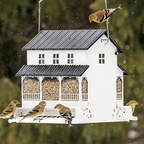 Absolute White Farmhouse Squirrel-Resistant Feeder with birds feeding from both sides, featuring weight-sensitive perches and a locking roof to prevent squirrel access.