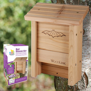 Bat House DIY Craft Kit mounted on a tree, featuring a wooden bat box with a single nesting chamber and grooved landing area for easy bat entry.