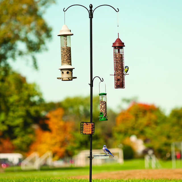 Basic Two Way Bird Feeding Station featuring four hangers, a suet cage, and a birdbath dish on an 85-inch sectional black metal pole.