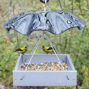 Gray Platform Feeder with Smokey Weather Guard featuring birds perched on a flat, open feeder with a metal mesh tray, designed to attract and protect various songbirds.