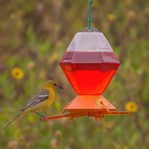 Deluxe Oriole Nectar Feeder with weight-sensitive perches, shatter-resistant plastic, and decorative orange slice stickers, attracting birds while keeping bees out. Features three feeding ports.