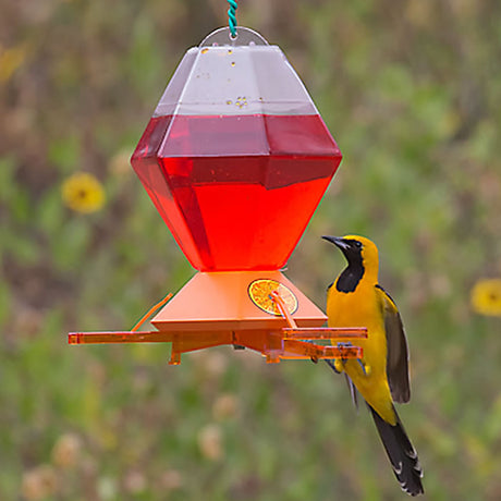 Deluxe Oriole Nectar Feeder with a yellow bird perched, featuring weight-sensitive perches and a clear reservoir for monitoring nectar levels.