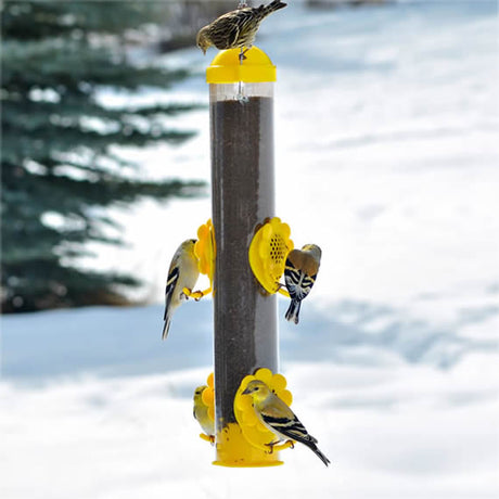 Yellow Select-A-Finch Tube Feeder with four adjustable perches and translucent tube, attracting various finches. Birds are seen feeding on the yellow feeder outdoors.