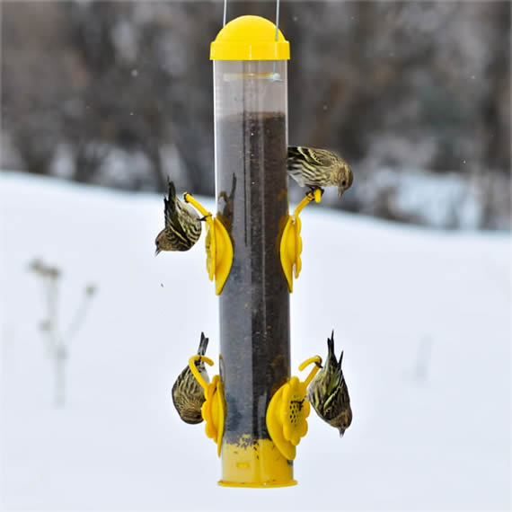 Yellow Select-A-Finch Tube Feeder with four adjustable perches, filled with birds feeding. Snow surrounds the feeder, indicating winter use.