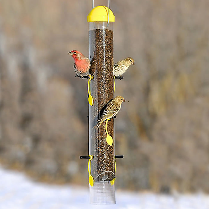 All-in-One Finch Feeder with six adjustable ports, yellow decorative leaves, and a shatter-resistant tube, showing birds feeding.