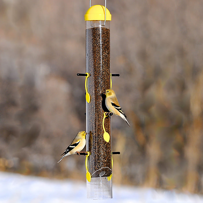 All-in-One Finch Feeder with six adjustable feeding ports, yellow leaves, and a clear, shatter-resistant tube, with birds actively feeding.