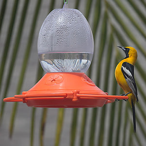 Oriole Nectar Feeder, 32 oz., with bird perched on feeder, featuring adjustable perches, bee guards, and an enclosed design to protect nectar.