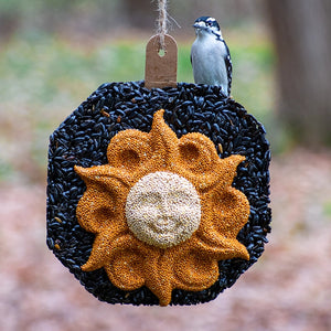 Sun Face Seed Wreath with a Downy Woodpecker perched on it, showcasing a festive design of seeds, perfect for attracting birds to your yard.