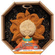 Sun Face Seed Wreath with a sunflower design made of black-oil sunflower seeds, decorated with millet; includes a jute hanger for easy display.