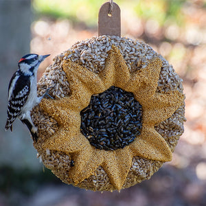 Downy Woodpecker on an 8-inch Sunflower Seed Wreath, featuring a central black-oil sunflower ring, surrounded by millet seed petals. Includes natural jute hanger.