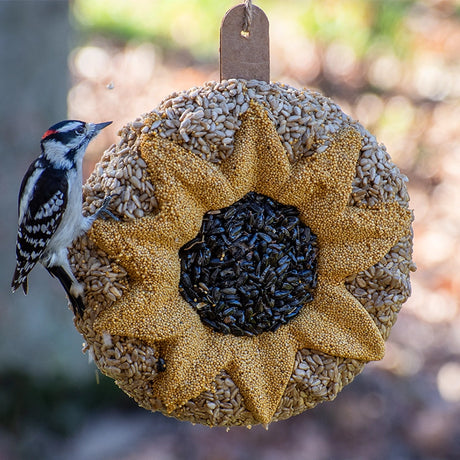 Downy Woodpecker on an 8-inch Sunflower Seed Wreath, featuring a central black-oil sunflower ring, surrounded by millet seed petals. Includes natural jute hanger.