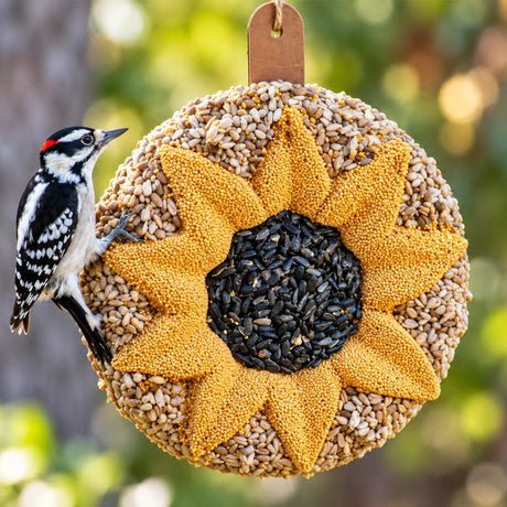 Downy Woodpecker on an 8-inch Sunflower Seed Wreath, featuring a central black-oil sunflower ring, surrounded by millet seed petals. Includes natural jute hanger.