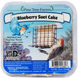 Blueberry Suet Cakes, 12 Cakes—includes a blue bird feeder with a bird on it, highlighting the suet's appeal and high-energy ingredients for birds.