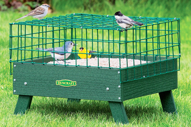 Green bird feeder with birds on a grassy background
