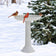 All Seasons Scalloped Bath in snow-covered yard with birds; features heated, stone-like design and scalloped edges on fluted pedestal beside an evergreen.