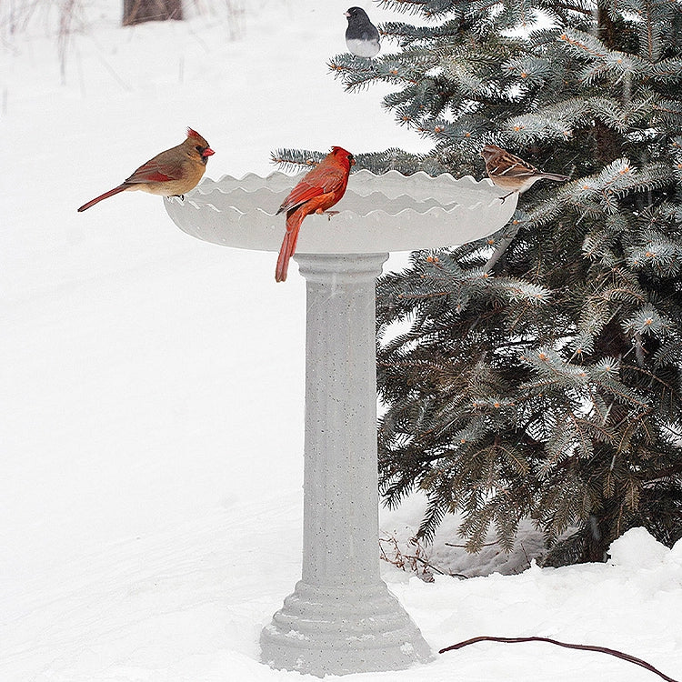 All Seasons Scalloped Bath in snow-covered yard with birds; features heated, stone-like design and scalloped edges on fluted pedestal beside an evergreen.