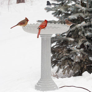 All Seasons Scalloped Bath in snow-covered yard with birds; features heated, stone-like design and scalloped edges on fluted pedestal beside an evergreen.