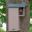 Duncraft Squirrel Eco House with a squirrel peeking out from the entry hole, showcasing a safe nesting space for baby squirrels.