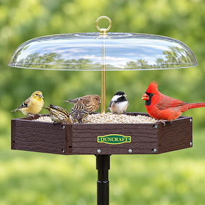 Duncraft Hexagon Pavilion Post Feeder showing a red cardinal feeding, featuring a durable design with a weather guard and mesh flooring for drainage.