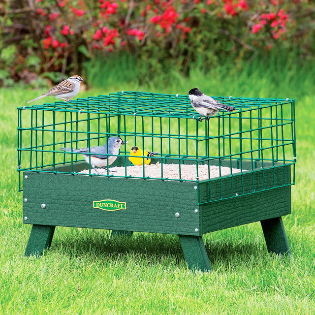 Duncraft Ground Platform Haven Feeder on grass, featuring a caged design to protect small birds while they feed, with fly-through openings and metal mesh flooring for drainage.