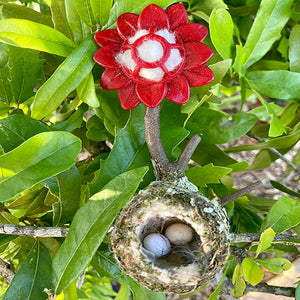 Quackups Hummingbird Home with Nesting Fibers, featuring a bird nest with eggs, designed for easy branch installation to attract hummingbirds.